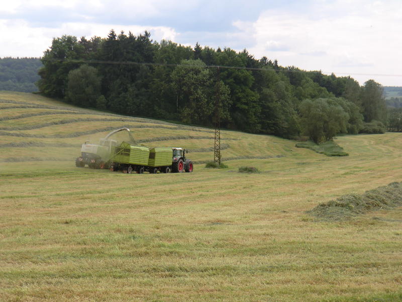bilder/28_5_2012/CIMG8560.jpg