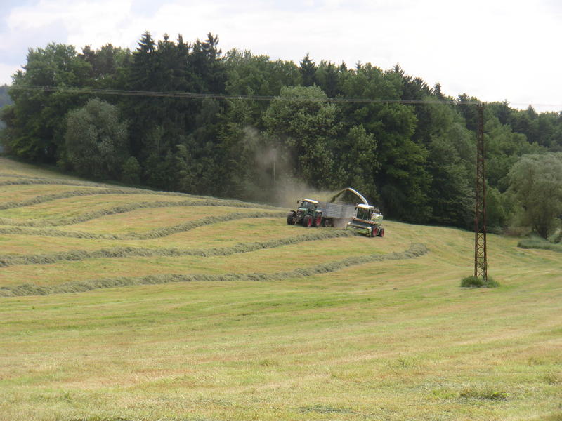 bilder/2024_08_06/DSC08974.jpg