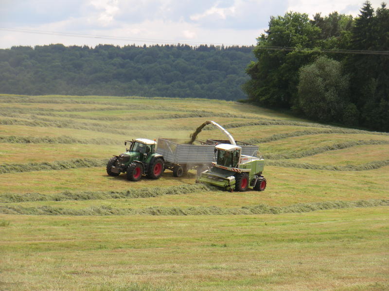 bilder/28_5_2012/CIMG8564.jpg