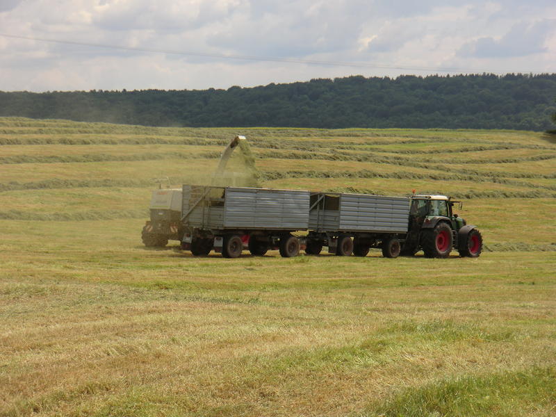 bilder/28_5_2012/CIMG8567.jpg