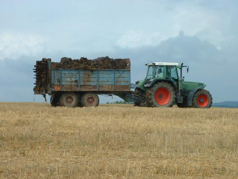 fendt_6.jpg