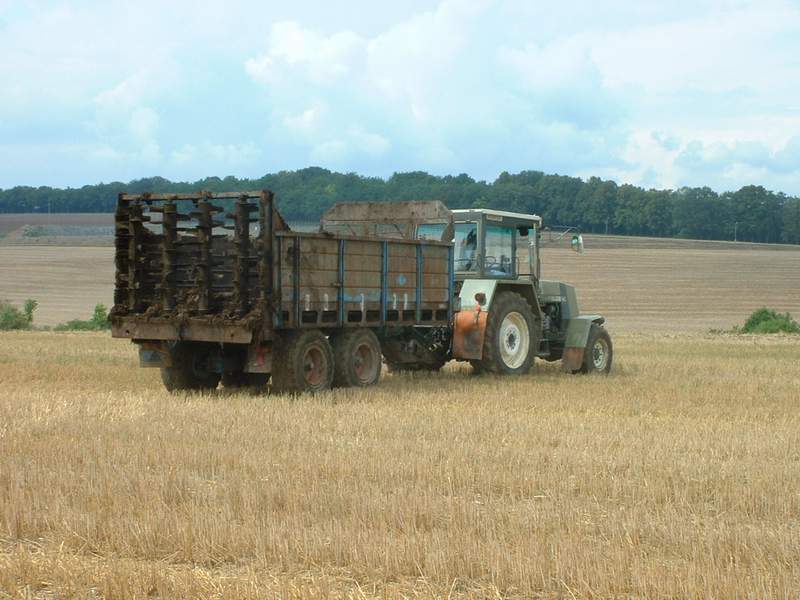 zt_323_5.jpg