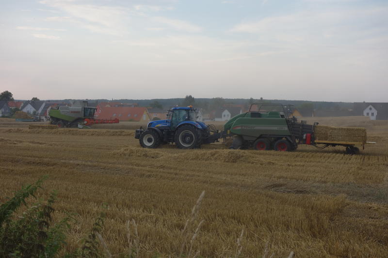 bilder/22_4_2011/CIMG1770.jpg