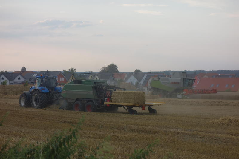 bilder/28_7_2016/DSC05150.jpg