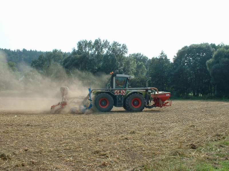 bilder/28_8_2002/xerion_10.jpg