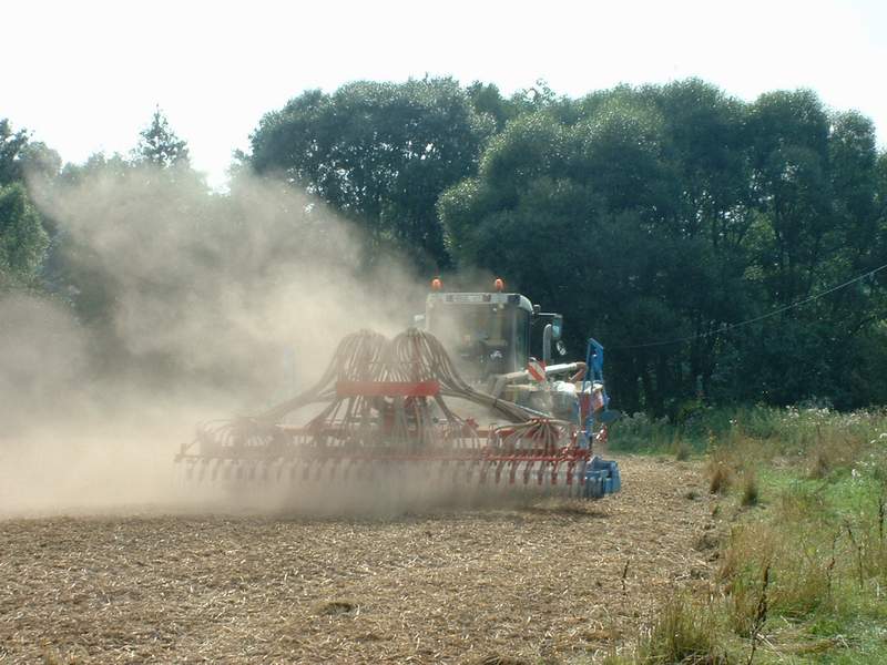 bilder/28_8_2002/xerion_11.jpg