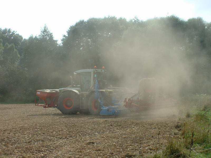 bilder/28_8_2002/xerion_12.jpg