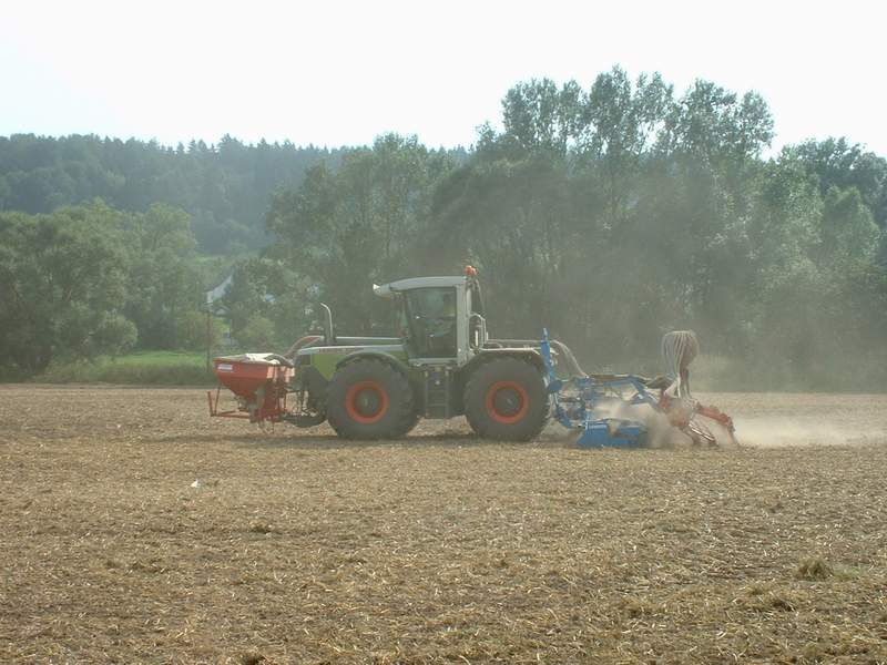 bilder/28_8_2002/xerion_14.jpg