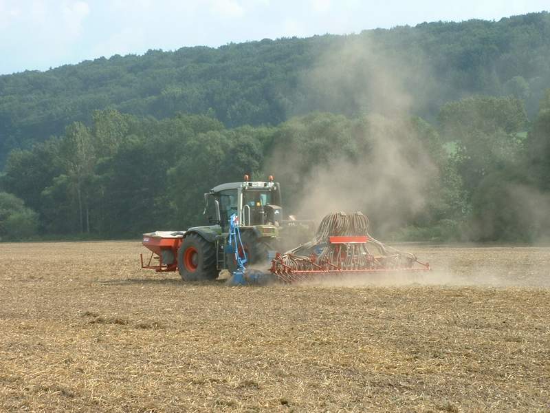bilder/28_8_2002/xerion_15.jpg