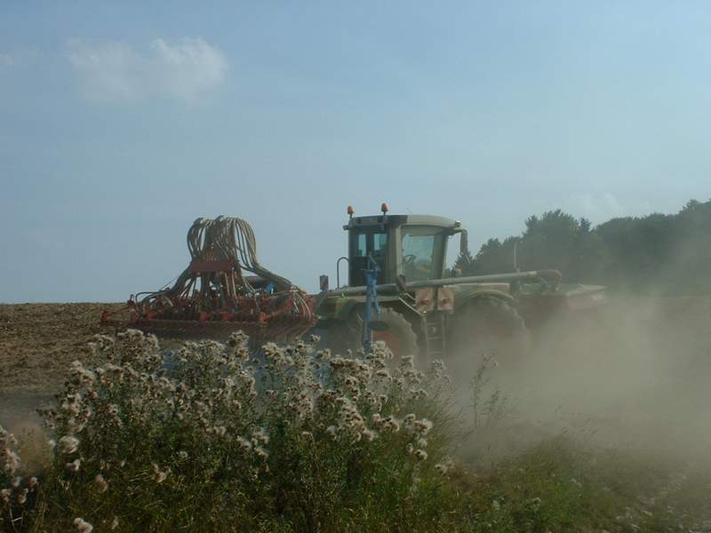 xerion_2.jpg