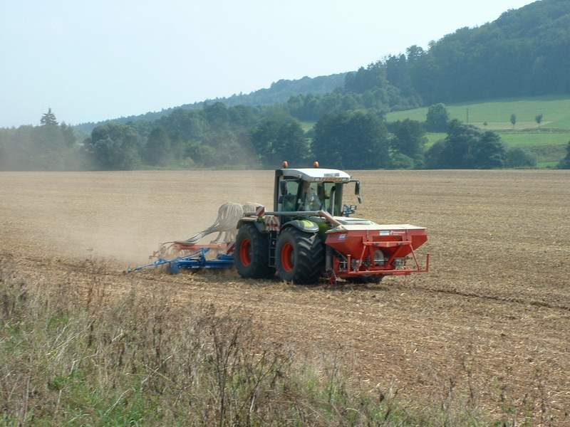bilder/28_8_2002/xerion_4.jpg