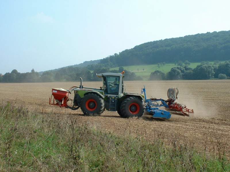 bilder/28_8_2002/xerion_6.jpg