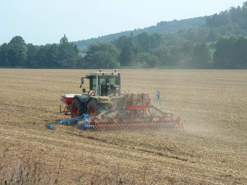 bilder/28_8_2002/xerion_8.jpg