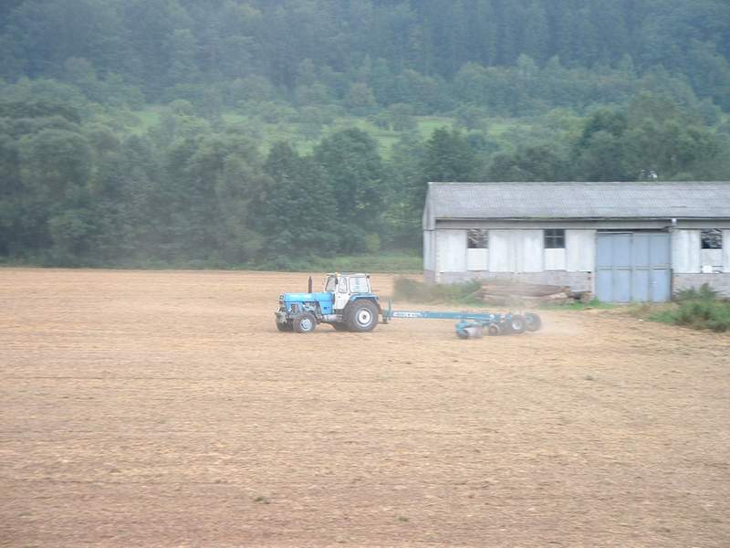 bilder/28_8_2002/zt_303_3.jpg