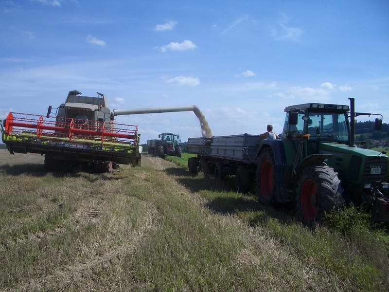 lexion_2x_fendt.jpg