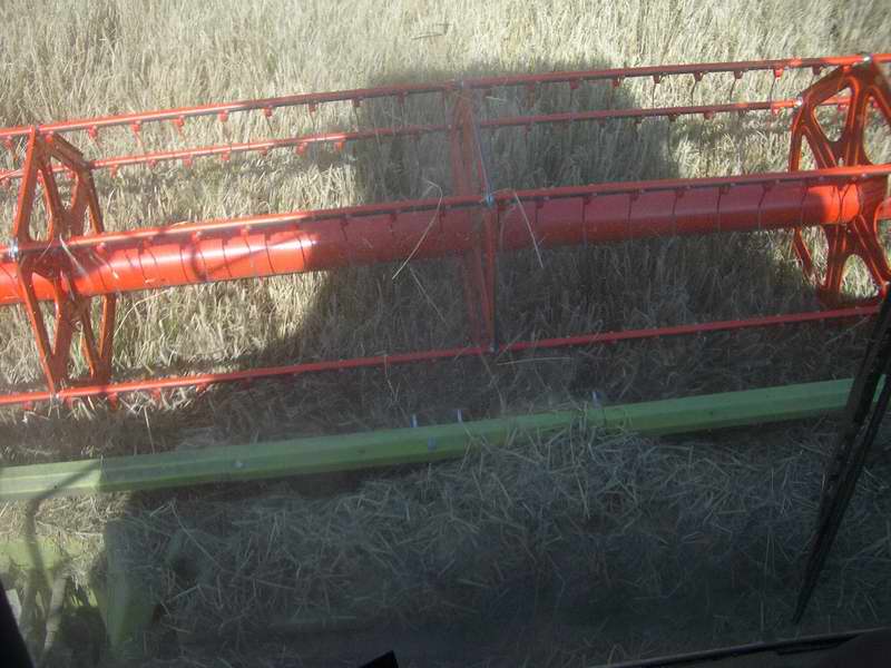 lexion_3.jpg
