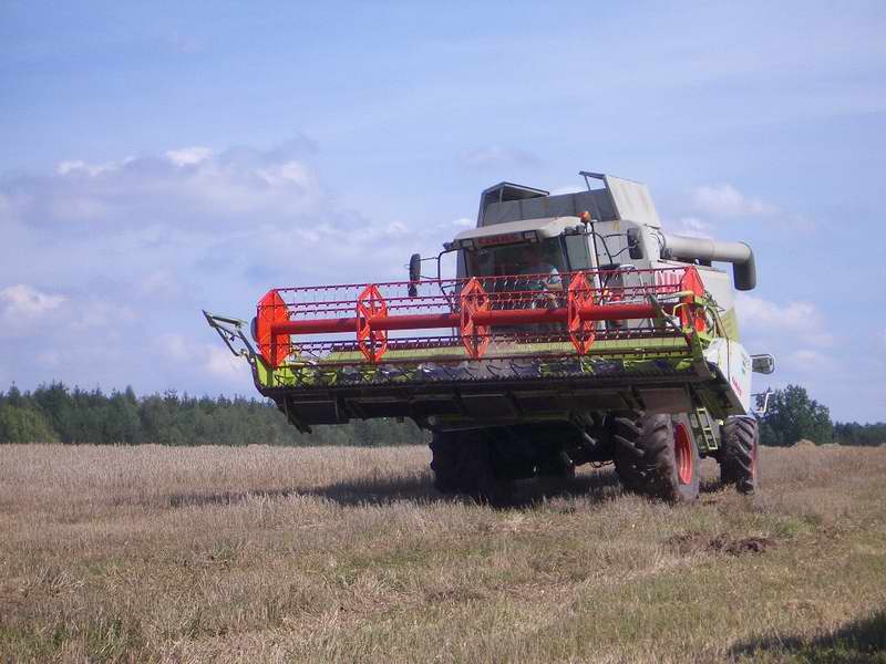 lexion_4.jpg