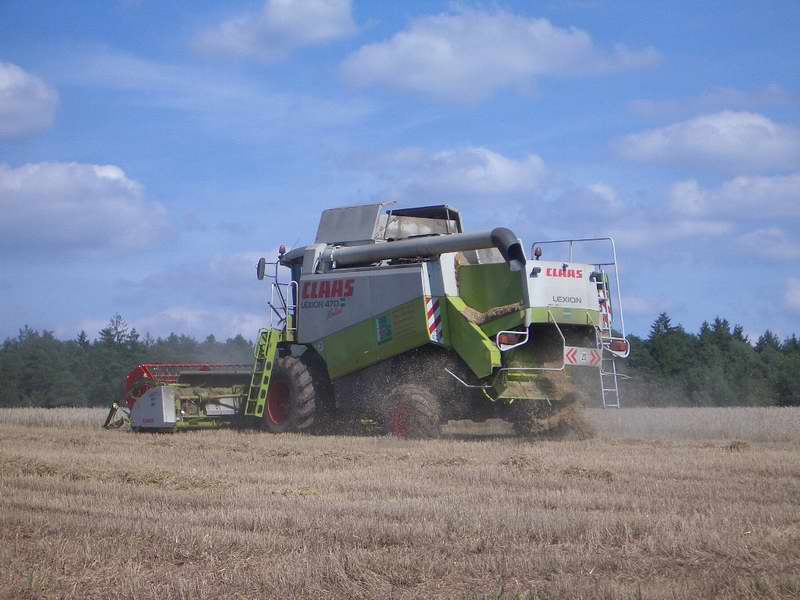lexion_6.jpg