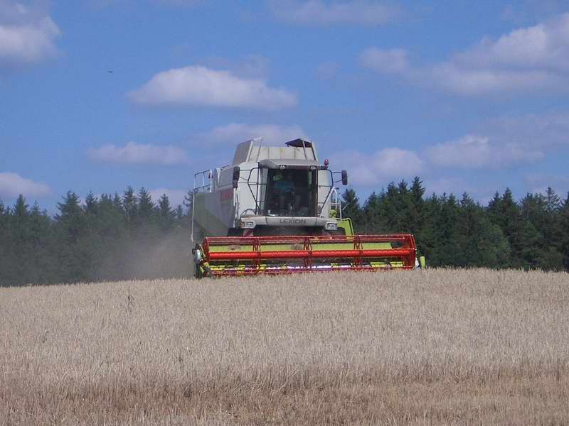 bilder/28_8_2005/lexion_7.jpg