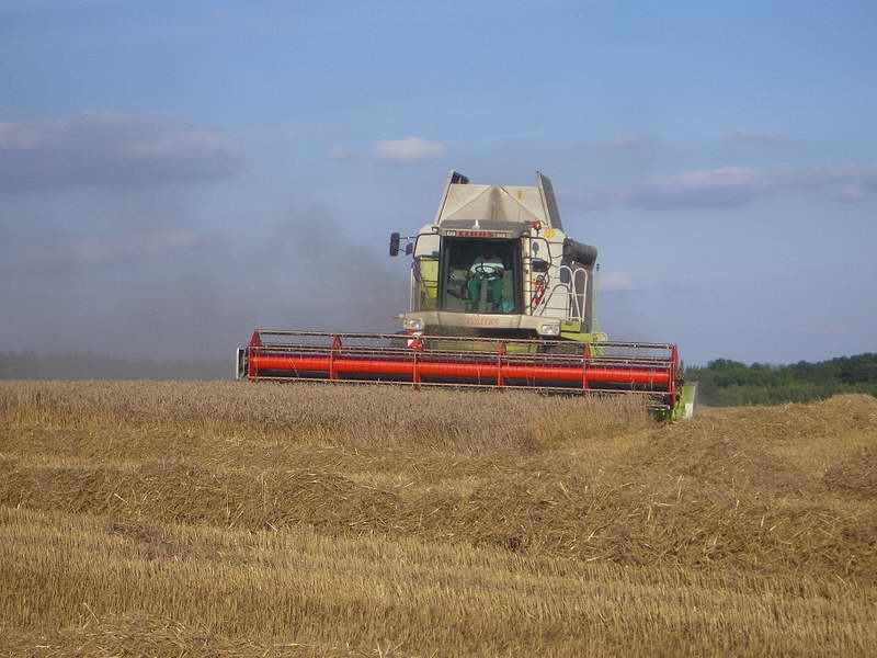 bilder/28_8_2005_2/lexion.jpg