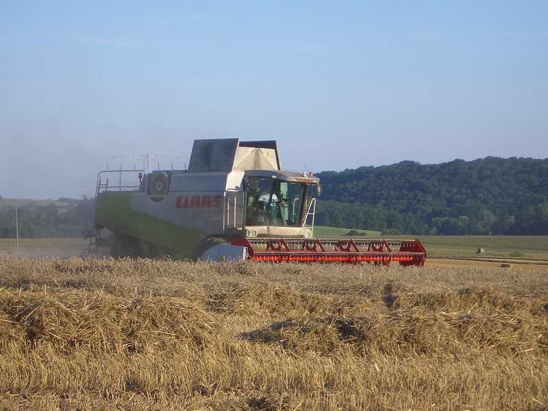 bilder/28_8_2005_2/lexion_3.jpg
