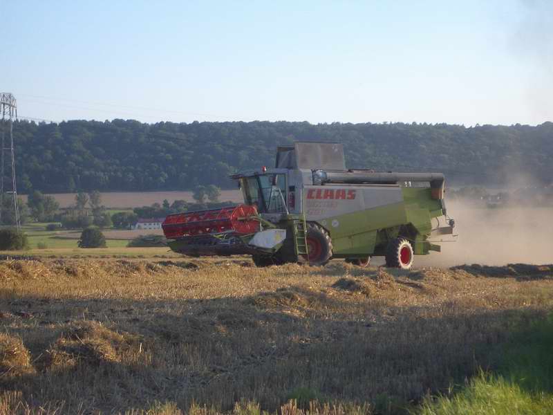 lexion_6.jpg