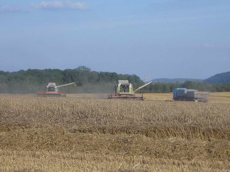 lexion_mega_w50.jpg