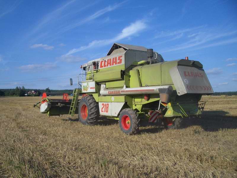 bilder/18_7_2003_2/terra_gator_7.jpg