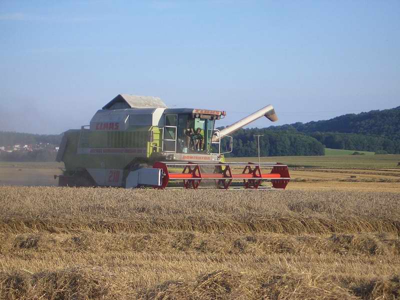 bilder/28_8_2005_2/mega_6.jpg