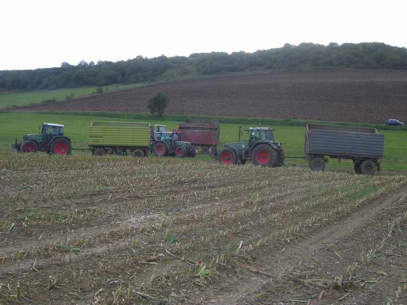 3x_fendt_2x_zt_303.jpg