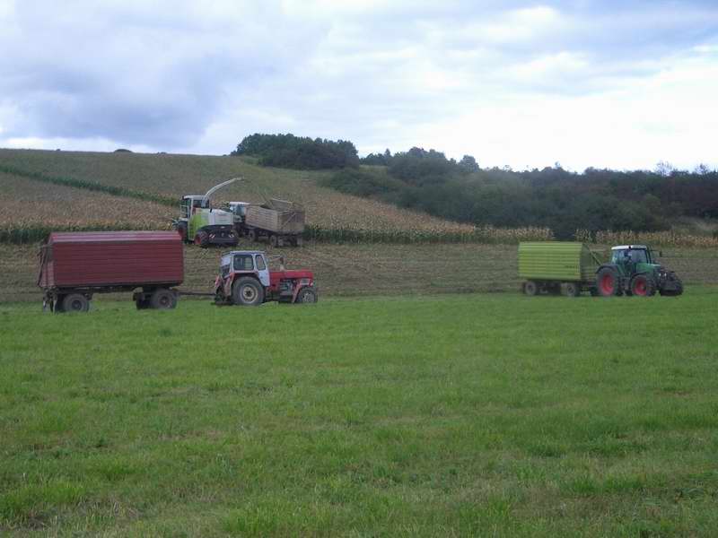bilder/28_9_2005/jaguar_2x_fendt_zt_303_2.jpg