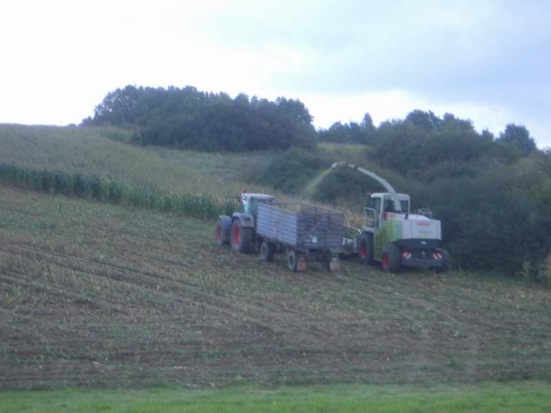 jaguar_fendt_11.jpg