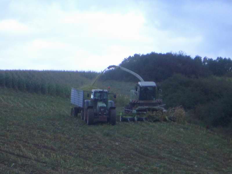jaguar_fendt_13.jpg