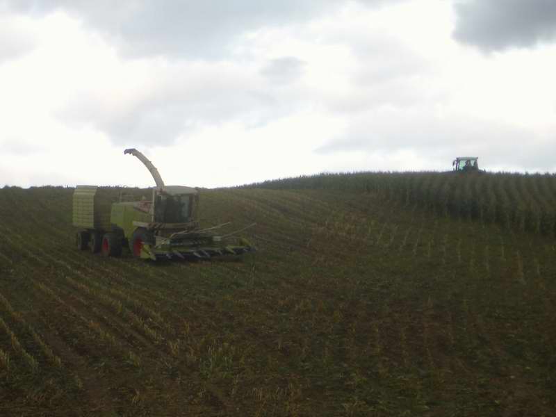 bilder/28_9_2005/jaguar_fendt_16.jpg