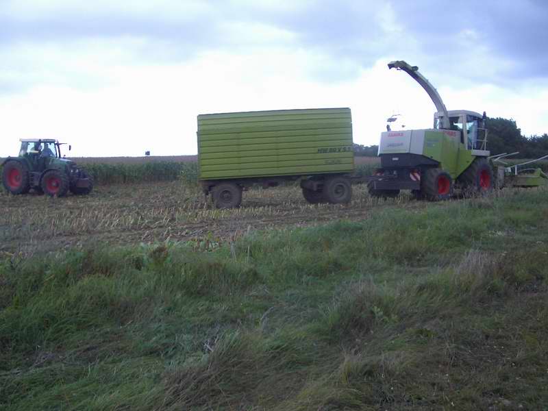 jaguar_fendt_18.jpg