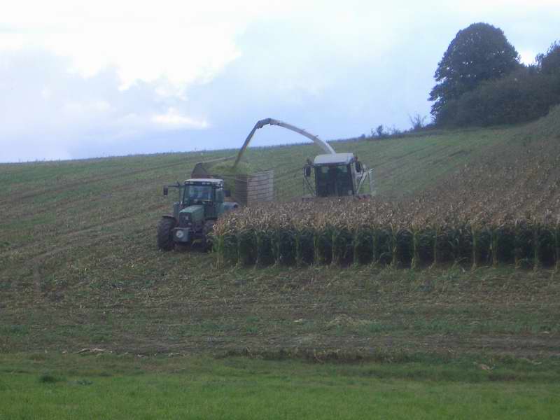 jaguar_fendt_7.jpg