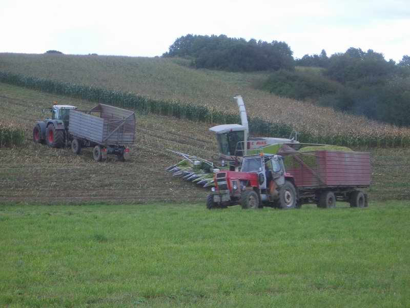 bilder/28_9_2005/jaguar_fendt_zt_303_3.jpg