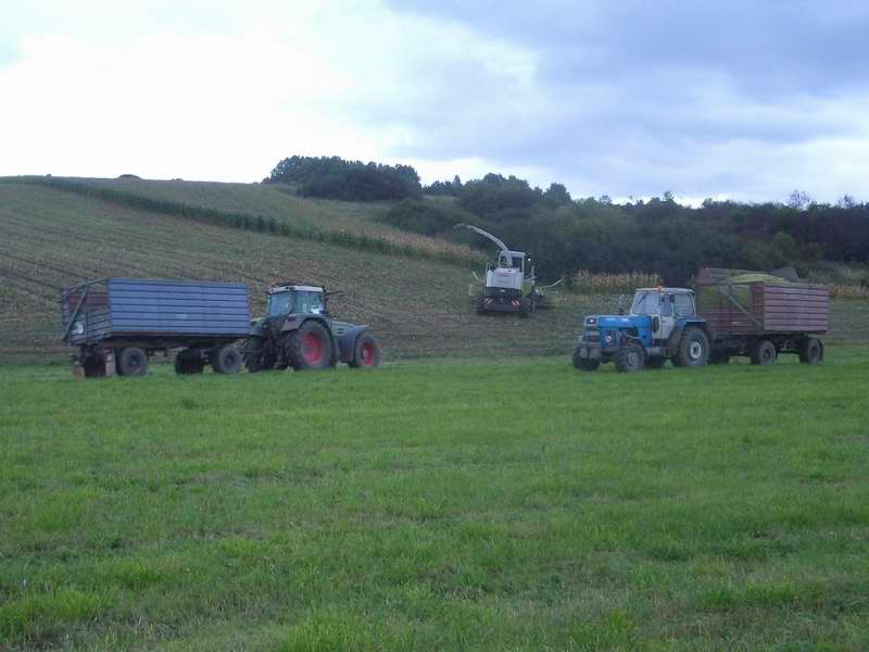 jaguar_fendt_zt_303_5.jpg