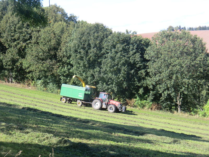 bilder/28_9_2013/CIMG9797.jpg