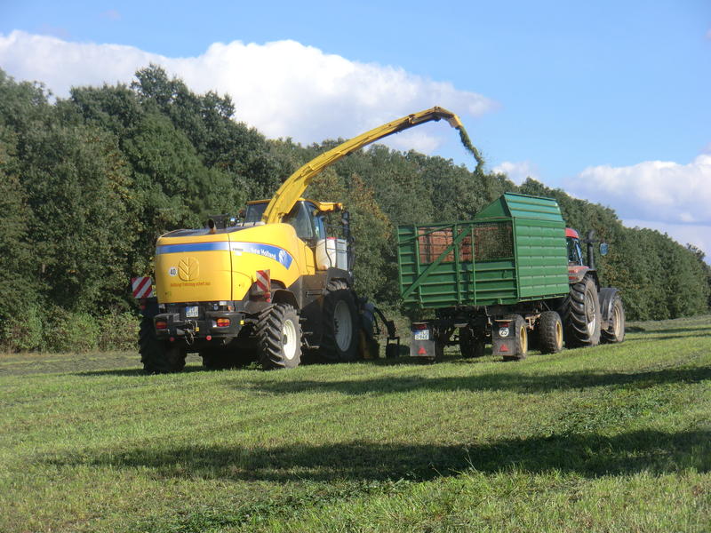bilder/28_9_2013/CIMG9817.jpg