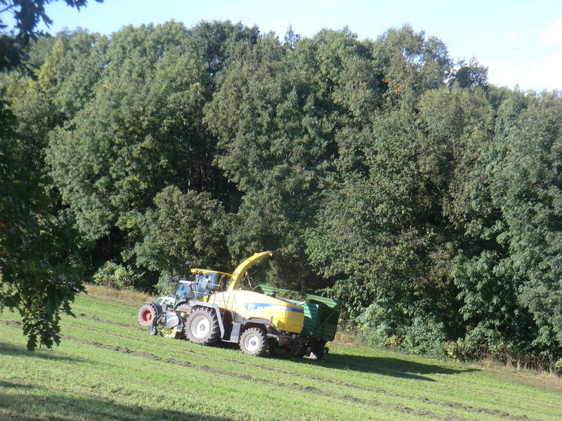 bilder/1_5_2005_2/terra_gator_2.jpg