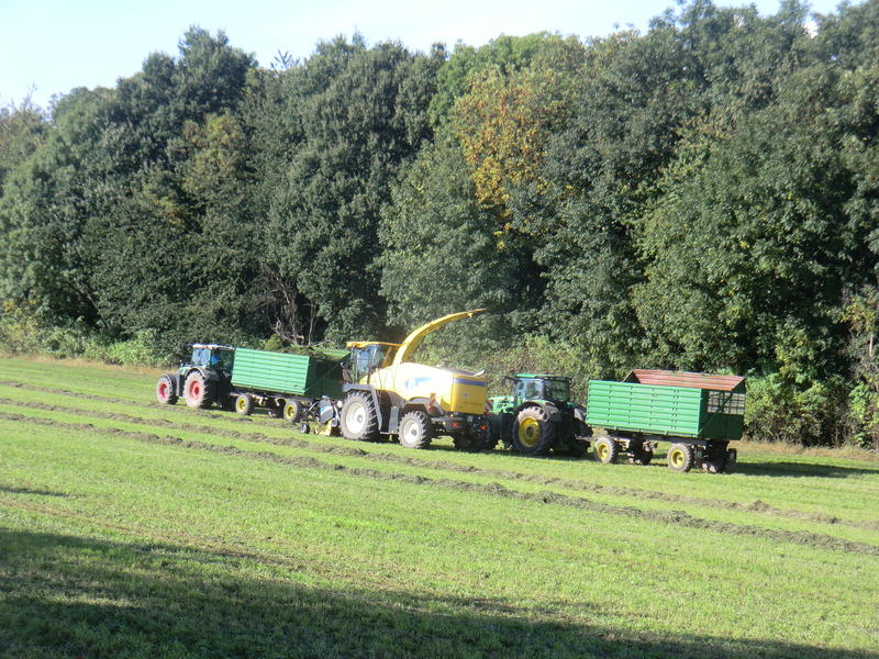 bilder/28_9_2013/CIMG9833.jpg