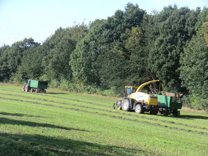 CIMG9834.jpg
