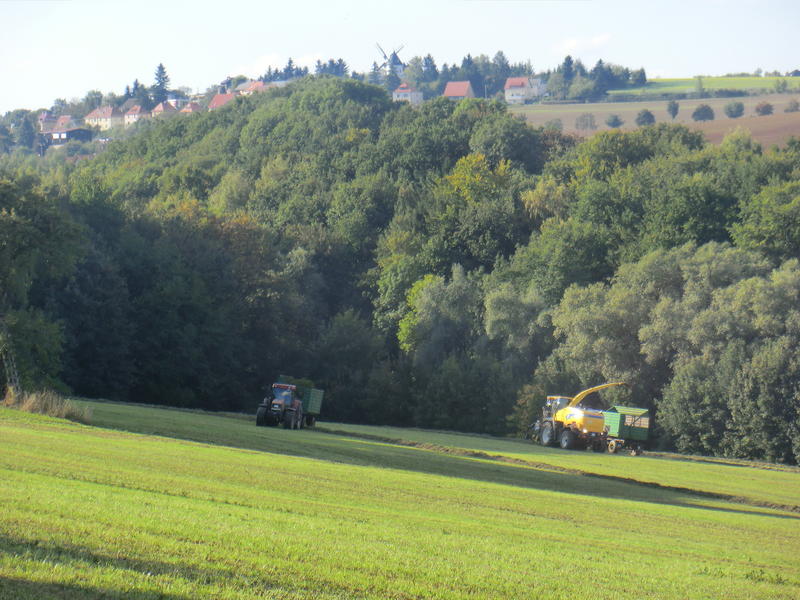 CIMG9867.jpg