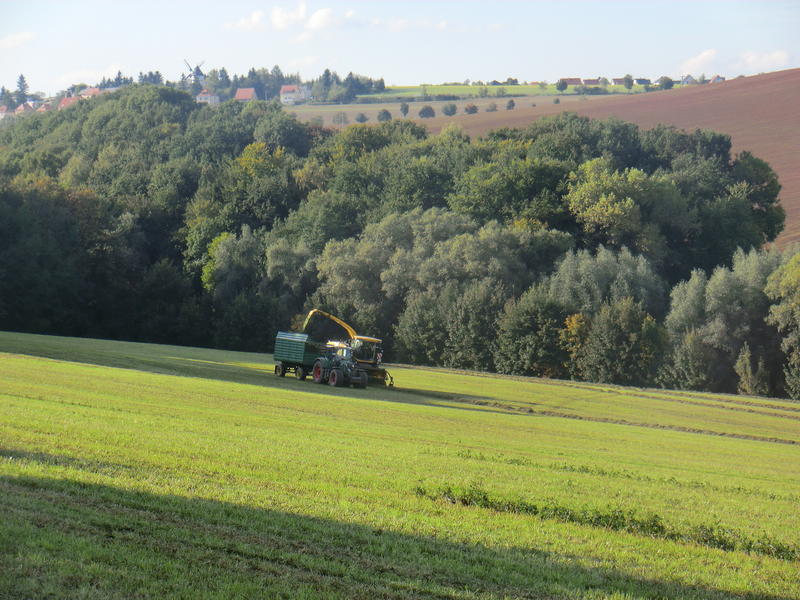 bilder/28_9_2013/CIMG9869.jpg