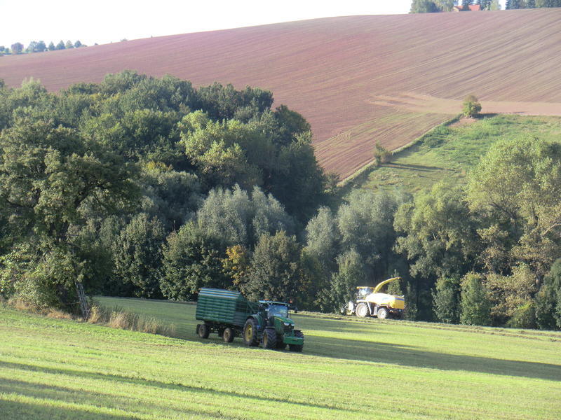 bilder/28_9_2013/CIMG9876.jpg