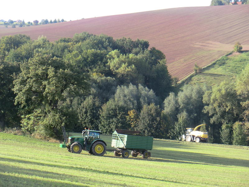bilder/28_9_2013/CIMG9877.jpg