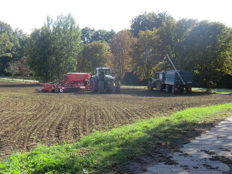 bilder/27_8_2002/fendt_824_6.jpg