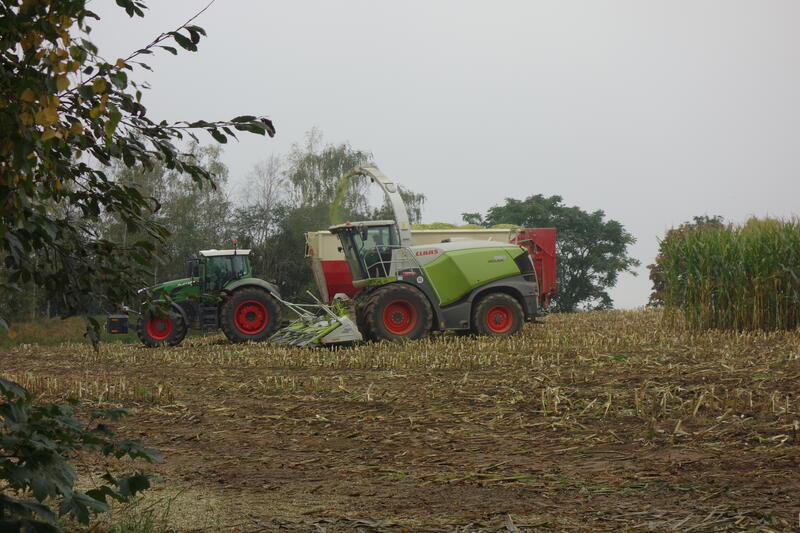 bilder/25_7_2012/CIMG9842.jpg