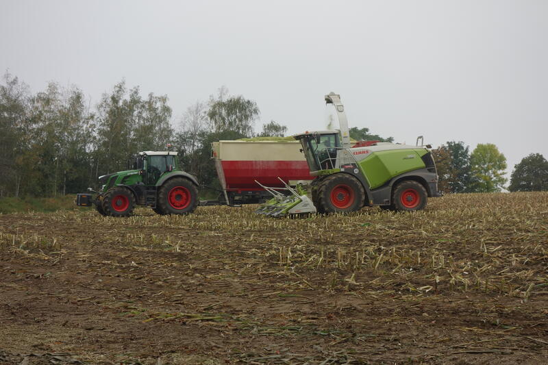 bilder/6_8_2013/CIMG8632.jpg